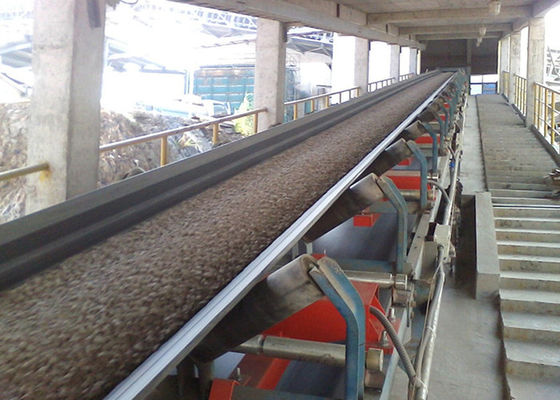 Tuz Endüstrisinde Gıda Sınıfı 220VAC 600mm Konveyör Bant Kantarı